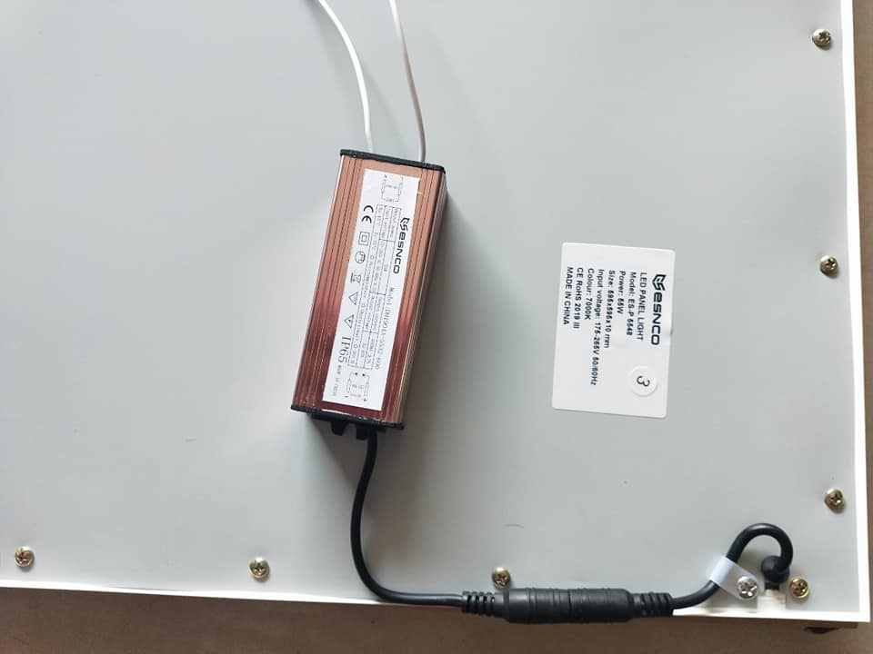 116917784_164438001842670_2255985736866627689_n