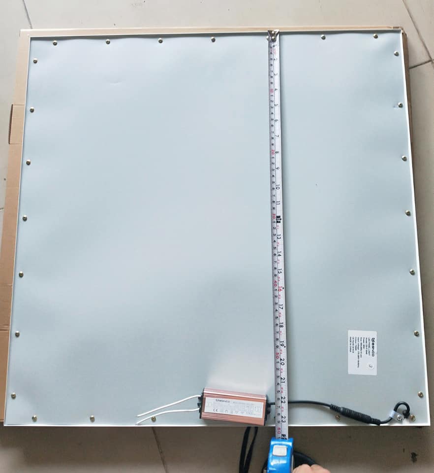 117358680_164437951842675_2617837329826356820_n