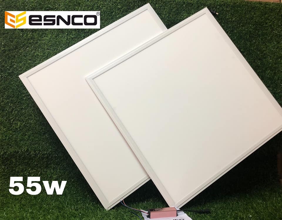 117864324_168248968128240_820426337686298697_n