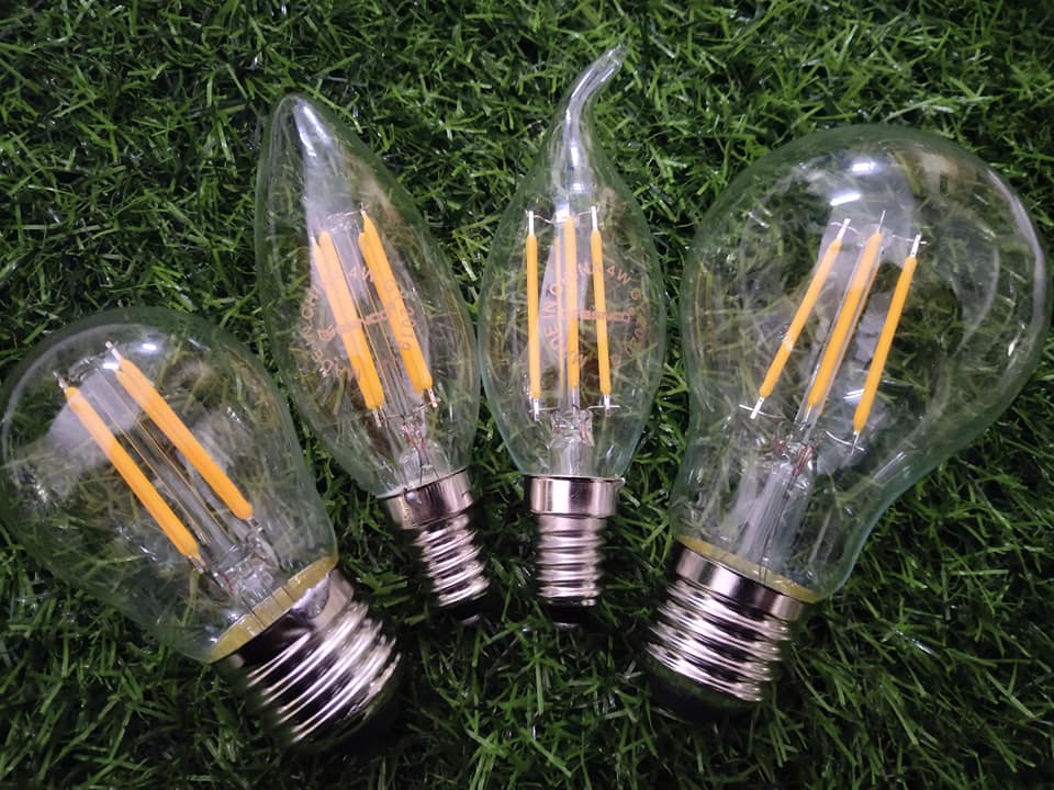 120966913_181117283508075_3064390079863898394_n