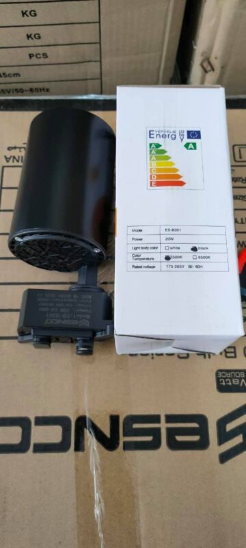 125787841_201309858155484_738113890720999107_n