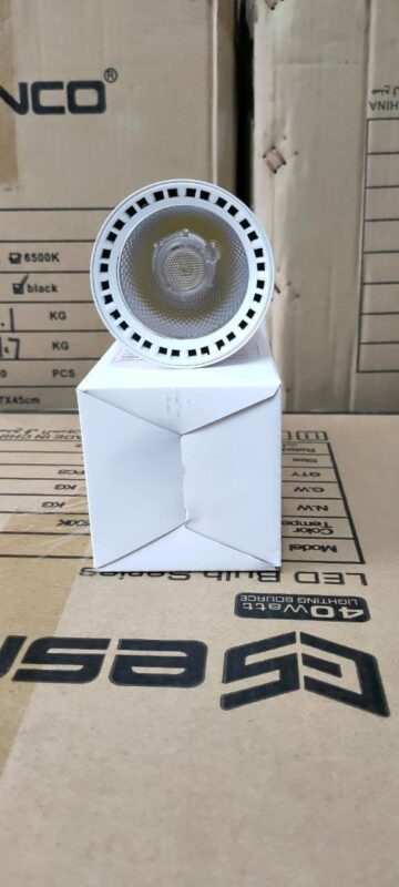 125835587_201309688155501_6139828293274437788_n