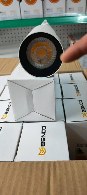 126253805_201309978155472_5862782993834241616_n