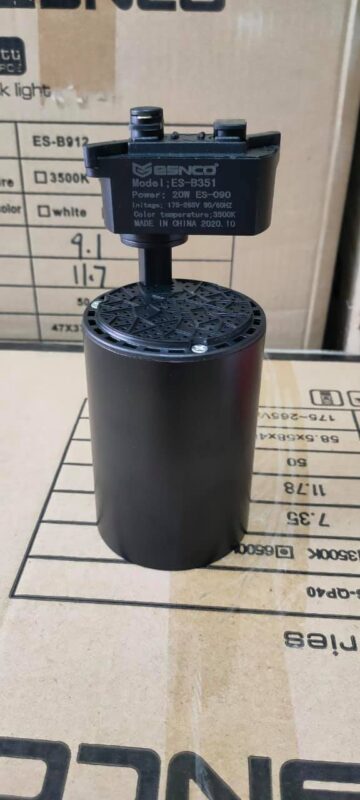 127025262_201309734822163_4461876594822895338_n