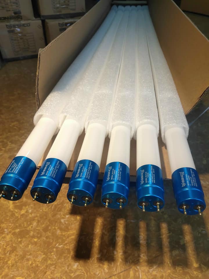 158668967_265476998405436_6422545739668052967_n - Copy