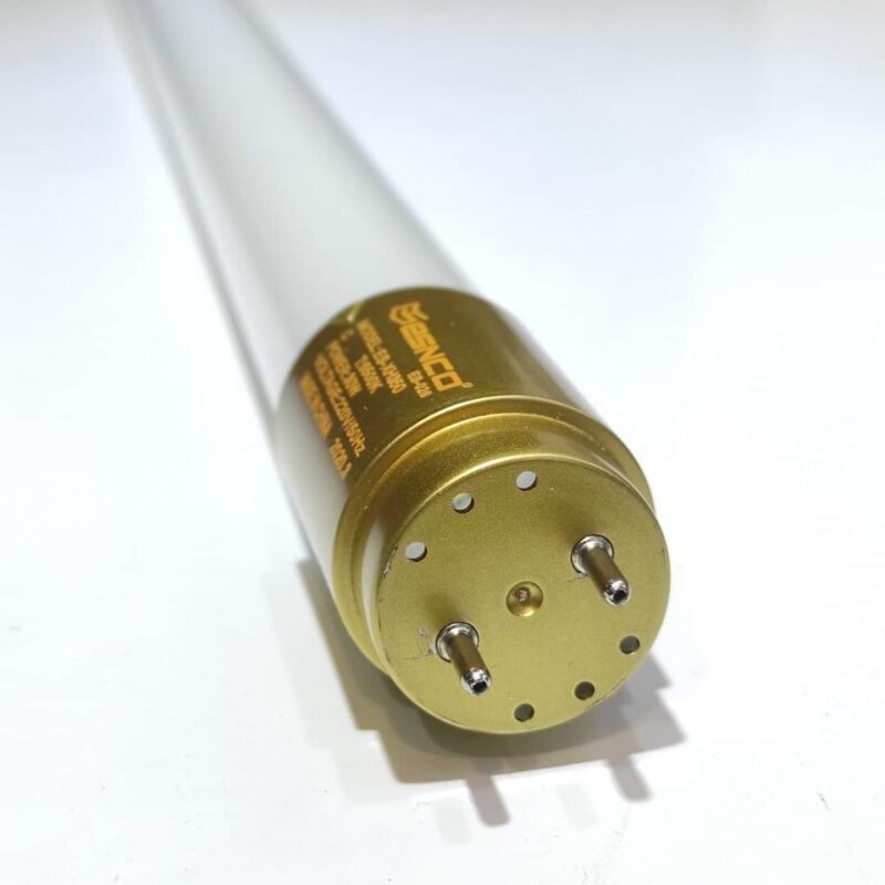 240115208_228618559310179_4474419056926126091_n