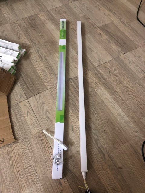 275771449_336874321817935_6481377959423574760_n