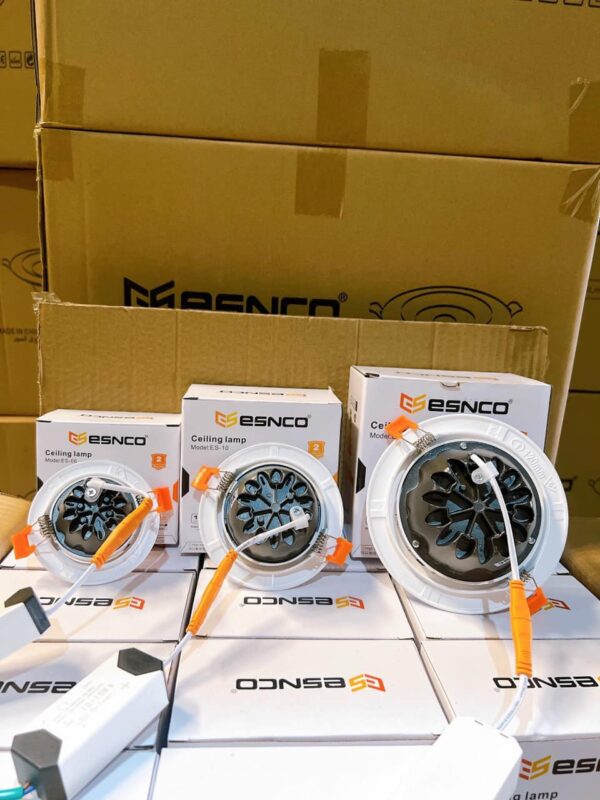 338395868_551146343815508_6223192186638940650_n