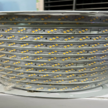 Đèn Led Dây 2835 180d 12mm 3 Hàng Chéo Trắng/vàng/dương