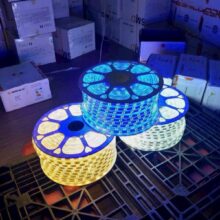 Đèn Led Dây 5730 80d 10mm 2 Hàng Chéo Trắng/vàng/dương