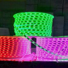 Đèn Led Dây 5730 80d 10mm 2 Hàng Chéo Đỏ/hồng/lá